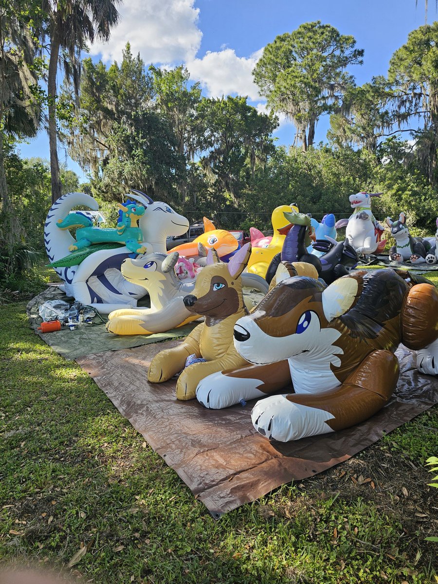 fuzzychubbywolf's tweet image. Big family day down by the lake. @Donutseads napping with boomer and tinker. I fell asleep in my chair for a bit.