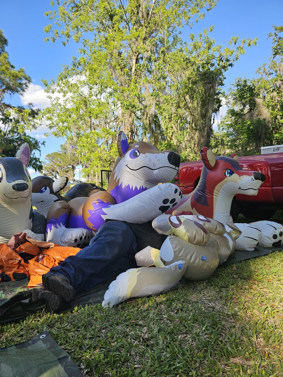 fuzzychubbywolf's tweet image. Big family day down by the lake. @Donutseads napping with boomer and tinker. I fell asleep in my chair for a bit.