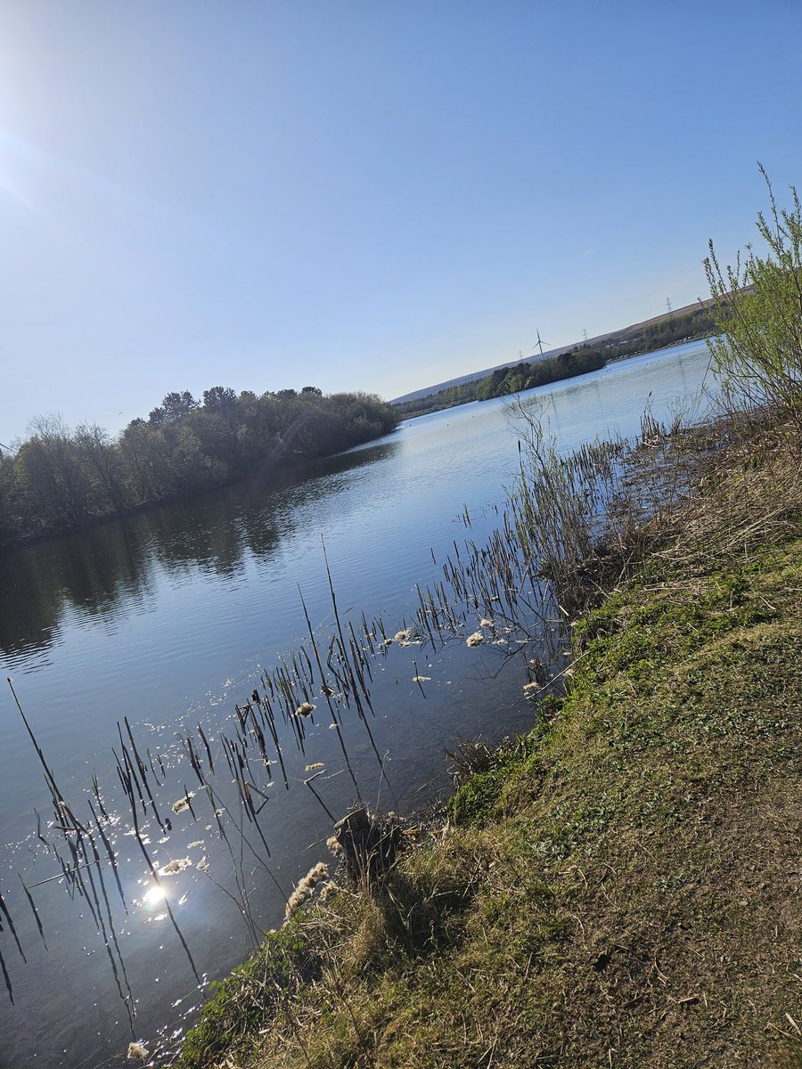 Abbie Parry (@abbieparry7) on Twitter photo 