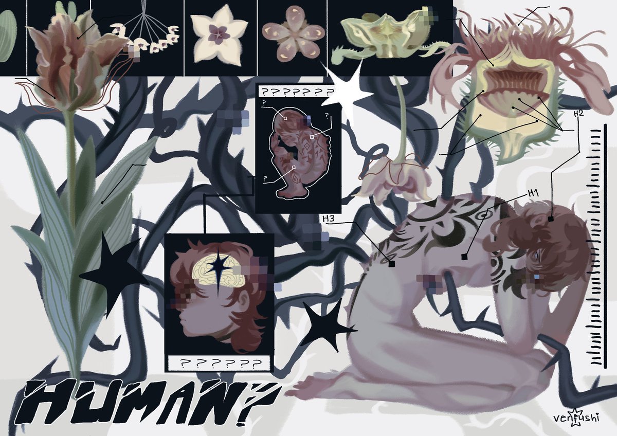 fushi★🦋 tweet media