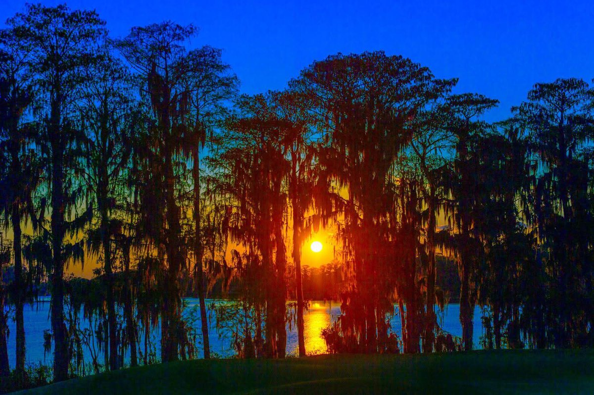 CRMerchent's tweet photo. Sunset in Florida. I captured this image a few years ago when I was carrying my camera all the time. https://t.co/iKxr2hOLcR