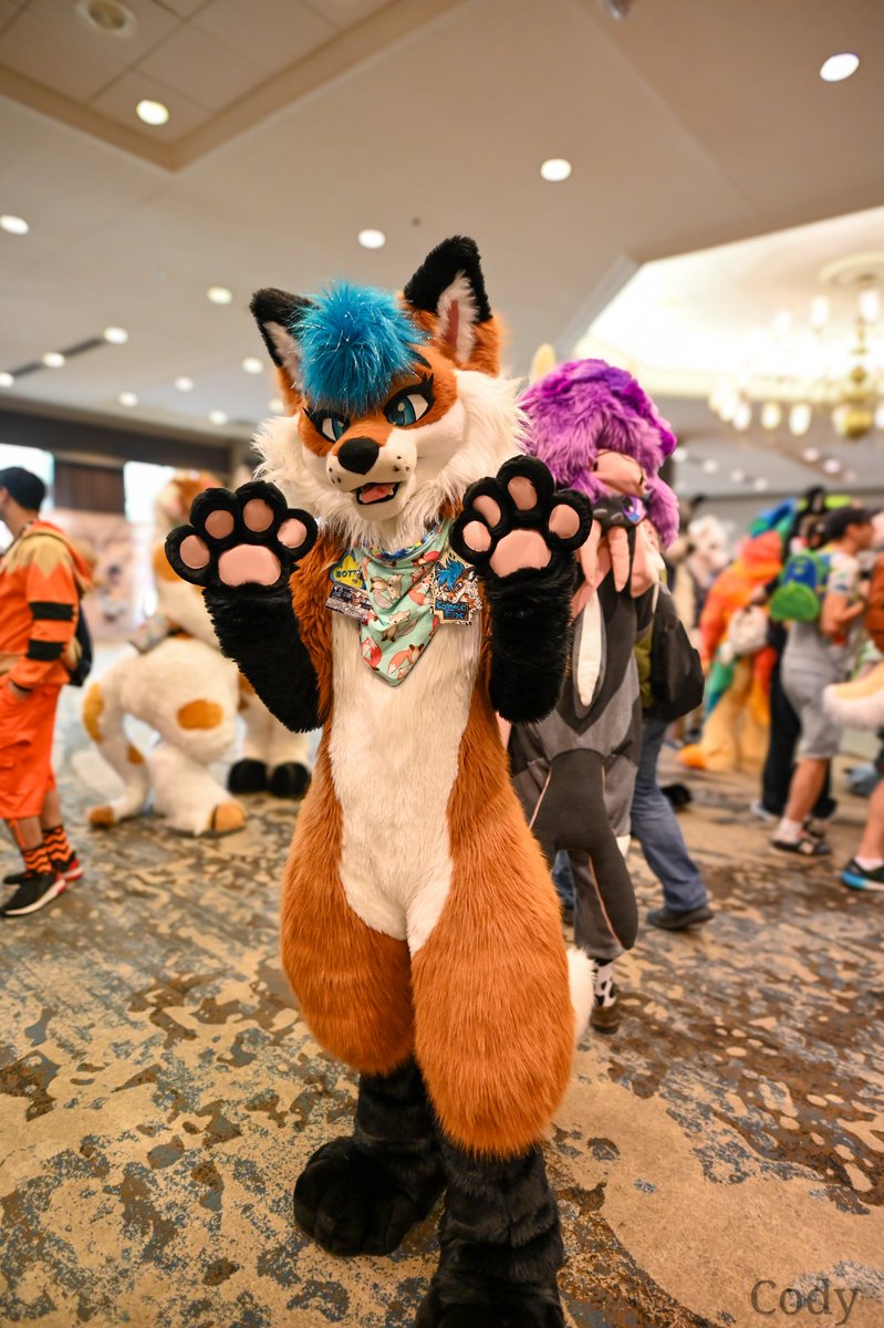 Cody&Cooper@TFF🤪 tweet media