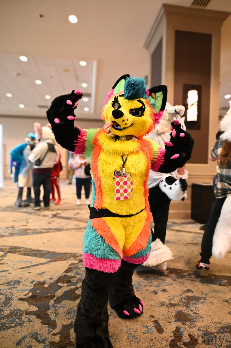 Cody&Cooper@TFF🤪 tweet media