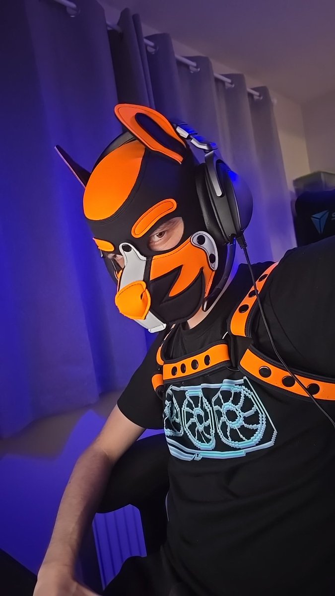 Pup Sam 🔜 Darklands tweet media