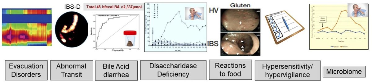 Neurogastro & Motil (@ngmjournal) on Twitter photo <a href="/maura_corsetti/">maura corsetti</a> <a href="/IBS_Maastricht/">Daniel Keszthelyi MD PhD RFF</a> <a href="/DrCJBlack/">Chris Black</a> <a href="/AndreaShin_GI/">Andrea Shin</a> <a href="/mpj61/">Michael Jones</a> <a href="/nicolascenac/">nicolasc</a> <a href="/ThisIsButt/">Mohsin Butt</a> <a href="/Pierfra_Visaggi/">Pierfrancesco Visaggi, MD</a> <a href="/Rajan___Singh/">Rajan Singh</a> <a href="/ANMSociety/">ANMS</a> <a href="/esnm_eu/">ESNM.eu</a> <a href="/LinChangMD/">Lin Chang</a> <a href="/BMoshiree/">Baha Moshiree MD, MSci, FACG, AGAF</a> <a href="/KashyapPurna/">Purna Kashyap M.B.B.S., AGAF</a> <a href="/karagm2009/">kara gross margolis</a> <a href="/LindaNguyenMD/">Linda Ánh Vân Nguyễn MD</a> <a href="/SSrinivasanMD/">Shanthi Srinivasan, MD</a> <a href="/mgrover_gi/">Madhusudan (Madhu) Grover M.D., AGAF</a> <a href="/BeyderLab/">BeyderLab</a> <a href="/IBSpatient/">Jeffrey Roberts, MS BSc</a> <a href="/TuesdayNightIBS/">#TuesdayNightIBS</a> <a href="/hmstaudacher/">Heidi Staudacher PhD AdvAPD</a> <a href="/hannahlmayr/">Dr Hannah Mayr APD PhD</a> <a href="/DharJahnvi/">Jahnvi Dhar</a> <a href="/DrElyseThakur/">Elyse R. Thakur</a> <a href="/DeMadaria/">Enrique de-Madaria</a> <a href="/yuyingMD/">Yuying Luo</a> <a href="/stevenbollipo/">Steven Bollipo</a> <a href="/RSarnoff/">Rachel Sarnoff, MD</a> <a href="/DrPalssonUNC/">Olafur Palsson</a> <a href="/UCLAGIHep/">UCLA Gastroenterology and Hepatology</a> <a href="/alex_ford12399/">Alexander Ford</a> <a href="/NehaSantucciMD/">Neha Santucci MD</a> <a href="/ShimaghavimiMD/">Shima Ghavimi</a> <a href="/MagnusSimren/">Magnus Simren</a> <a href="/drkeithsiau/">Keith Siau</a> <a href="/KewinSiah/">Kewin Siah</a> <a href="/SwapnaJoshi_PhD/">Swapna Mahurkar-Joshi, PhD</a> <a href="/EmeranMayerMD/">Emeran Mayer, MD</a> <a href="/JasmohanBajaj/">Jasmohan Bajaj</a> <a href="/LumirKunovsky/">Lumír Kunovský</a> <a href="/drjshapiro/">Jordan Shapiro, MD, MS</a> <a href="/sohl_dr/">Stephanie J. Sohl</a> <a href="/SuzanneDanhauer/">Suzanne C. Danhauer, Ph.D.</a> <a href="/DrvanTilburg/">Miranda van Tilburg</a> <a href="/emadelomar/">Emad El-Omar</a> <a href="/MelchiorChloe/">Melchior Chloé</a> <a href="/DrKinsinger/">Sarah Kinsinger</a> 🔥#Algorithms or #biomarkers in patients with lower #DGBI❓
✅Dive deep into potential treatment targets for individualized, target-directed treatment algorithms #Actionable #biomarkers‼️
👉onlinelibrary.wiley.com/doi/epdf/10.11…👏
<a href="/ANMSociety/">ANMS</a> <a href="/esnm_eu/">ESNM.eu</a> <a href="/maura_corsetti/">maura corsetti</a> <a href="/IBS_Maastricht/">Daniel Keszthelyi MD PhD RFF</a> <a href="/DrCJBlack/">Chris Black</a> <a href="/AndreaShin_GI/">Andrea Shin</a> <a href="/mpj61/">Michael Jones</a> <a href="/nicolascenac/">nicolasc</a> <a href="/ThisIsButt/">Mohsin Butt</a> <a href="/Pierfra_Visaggi/">Pierfrancesco Visaggi, MD</a> <a href="/Rajan___Singh/">Rajan Singh</a> <a href="/ANMSociety/">ANMS</a> <a href="/esnm_eu/">ESNM.eu</a> <a href="/LinChangMD/">Lin Chang</a> <a href="/BMoshiree/">Baha Moshiree MD, MSci, FACG, AGAF</a> <a href="/KashyapPurna/">Purna Kashyap M.B.B.S., AGAF</a> <a href="/karagm2009/">kara gross margolis</a> <a href="/LindaNguyenMD/">Linda Ánh Vân Nguyễn MD</a> <a href="/SSrinivasanMD/">Shanthi Srinivasan, MD</a> <a href="/mgrover_gi/">Madhusudan (Madhu) Grover M.D., AGAF</a> <a href="/BeyderLab/">BeyderLab</a> <a href="/IBSpatient/">Jeffrey Roberts, MS BSc</a> <a href="/TuesdayNightIBS/">#TuesdayNightIBS</a> <a href="/hmstaudacher/">Heidi Staudacher PhD AdvAPD</a> <a href="/hannahlmayr/">Dr Hannah Mayr APD PhD</a> <a href="/DharJahnvi/">Jahnvi Dhar</a> <a href="/DrElyseThakur/">Elyse R. Thakur</a> <a href="/DeMadaria/">Enrique de-Madaria</a> <a href="/yuyingMD/">Yuying Luo</a> <a href="/stevenbollipo/">Steven Bollipo</a> <a href="/RSarnoff/">Rachel Sarnoff, MD</a> <a href="/DrPalssonUNC/">Olafur Palsson</a> <a href="/UCLAGIHep/">UCLA Gastroenterology and Hepatology</a> <a href="/alex_ford12399/">Alexander Ford</a> <a href="/NehaSantucciMD/">Neha Santucci MD</a> <a href="/ShimaghavimiMD/">Shima Ghavimi</a> <a href="/MagnusSimren/">Magnus Simren</a> <a href="/drkeithsiau/">Keith Siau</a> <a href="/KewinSiah/">Kewin Siah</a> <a href="/SwapnaJoshi_PhD/">Swapna Mahurkar-Joshi, PhD</a> <a href="/EmeranMayerMD/">Emeran Mayer, MD</a> <a href="/JasmohanBajaj/">Jasmohan Bajaj</a> <a href="/LumirKunovsky/">Lumír Kunovský</a> <a href="/drjshapiro/">Jordan Shapiro, MD, MS</a> <a href="/sohl_dr/">Stephanie J. Sohl</a> <a href="/SuzanneDanhauer/">Suzanne C. Danhauer, Ph.D.</a> <a href="/DrvanTilburg/">Miranda van Tilburg</a> <a href="/emadelomar/">Emad El-Omar</a> <a href="/MelchiorChloe/">Melchior Chloé</a> <a href="/DrKinsinger/">Sarah Kinsinger</a> 🔥#Algorithms or #biomarkers in patients with lower #DGBI❓
✅Dive deep into potential treatment targets for individualized, target-directed treatment algorithms #Actionable #biomarkers‼️
👉onlinelibrary.wiley.com/doi/epdf/10.11…👏
<a href="/ANMSociety/">ANMS</a> <a href="/esnm_eu/">ESNM.eu</a>