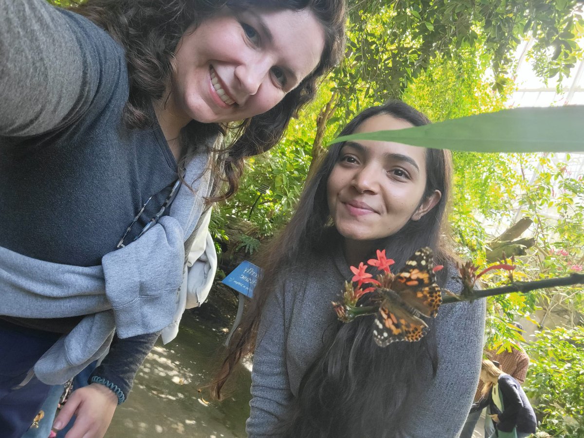 Sakhi Bhansali tweet media