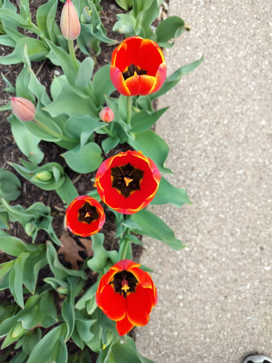 Sakhi Bhansali tweet media