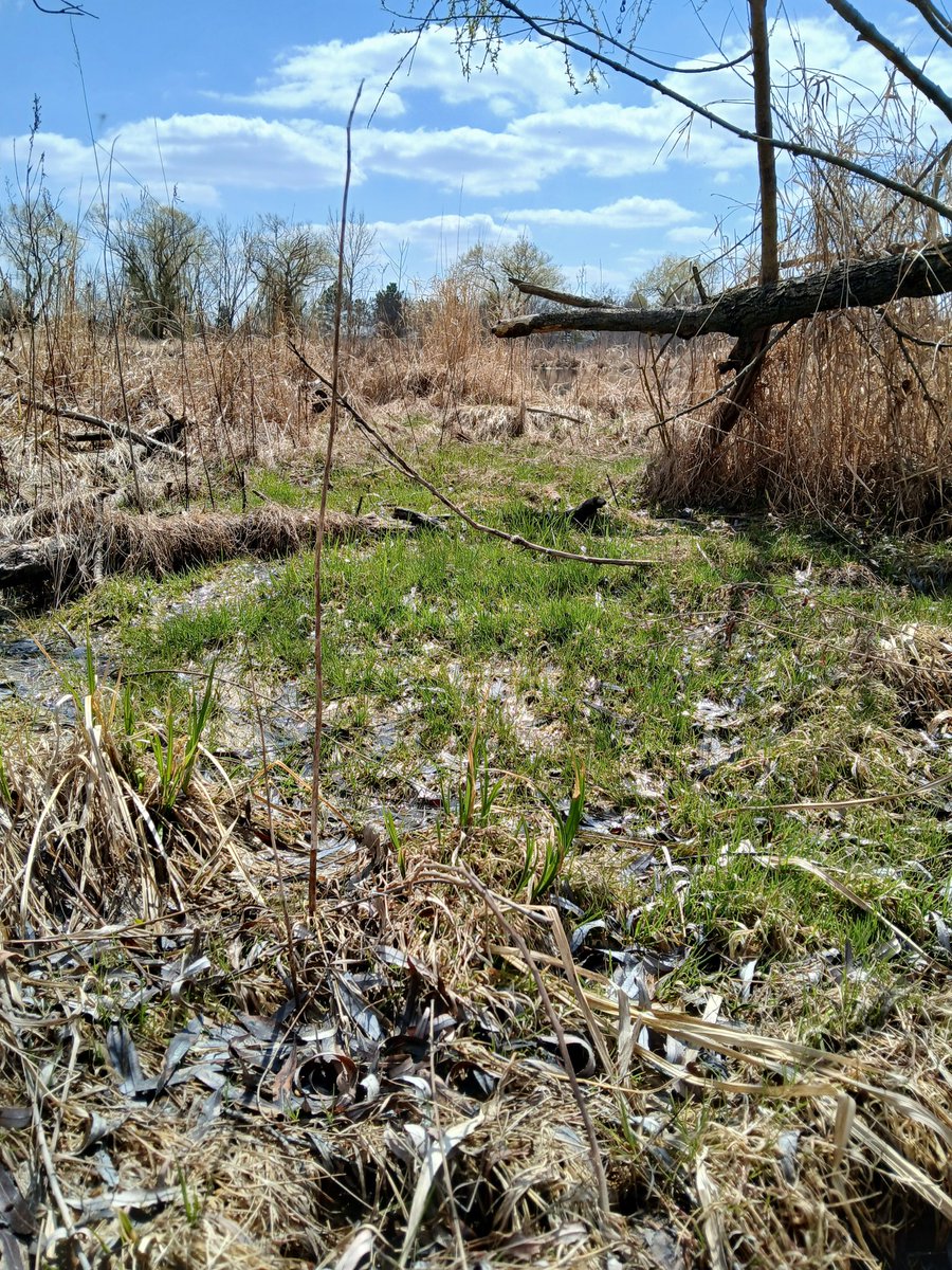 jake bender tweet media