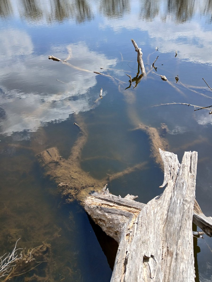 jake bender tweet media