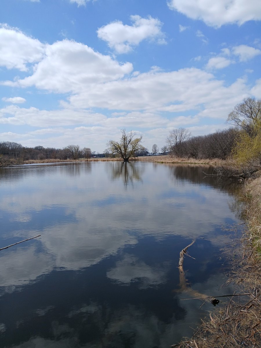 jake bender tweet media