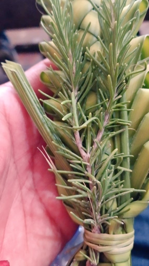 RED de LÍDERES CATÓLICOS tweet media