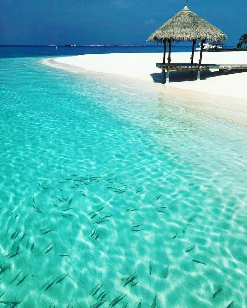 Maldives