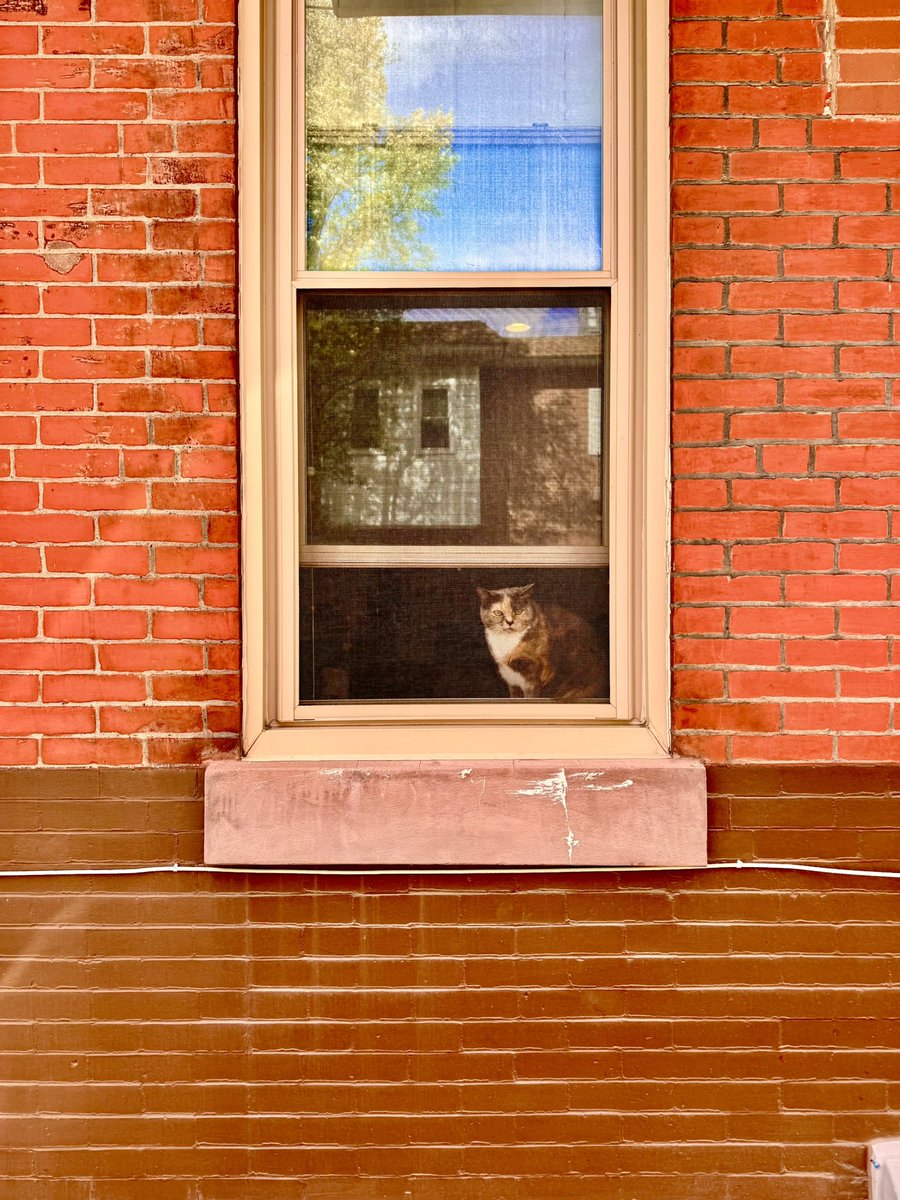 Sean Duffy tweet media