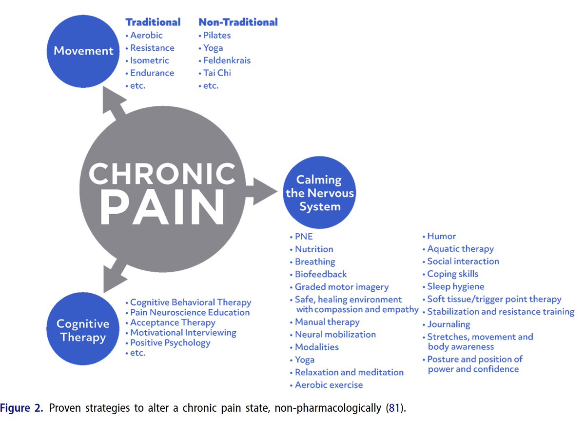 Pain Neuroscience Education: Teaching People About Pain

tandfonline.com/doi/full/10.10…