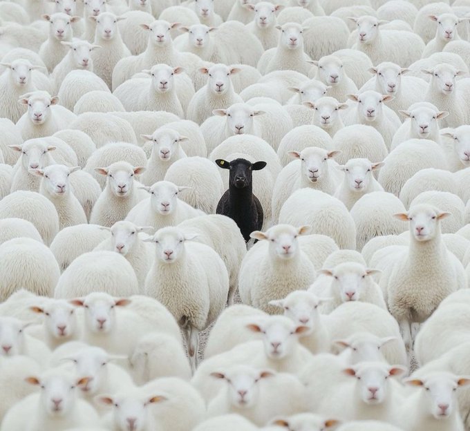 Naija_PR's tweet image. Poets, do your thing.