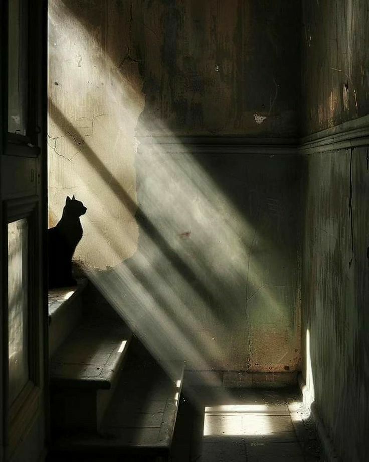 Black. (@blackdreamvibes) on Twitter photo 