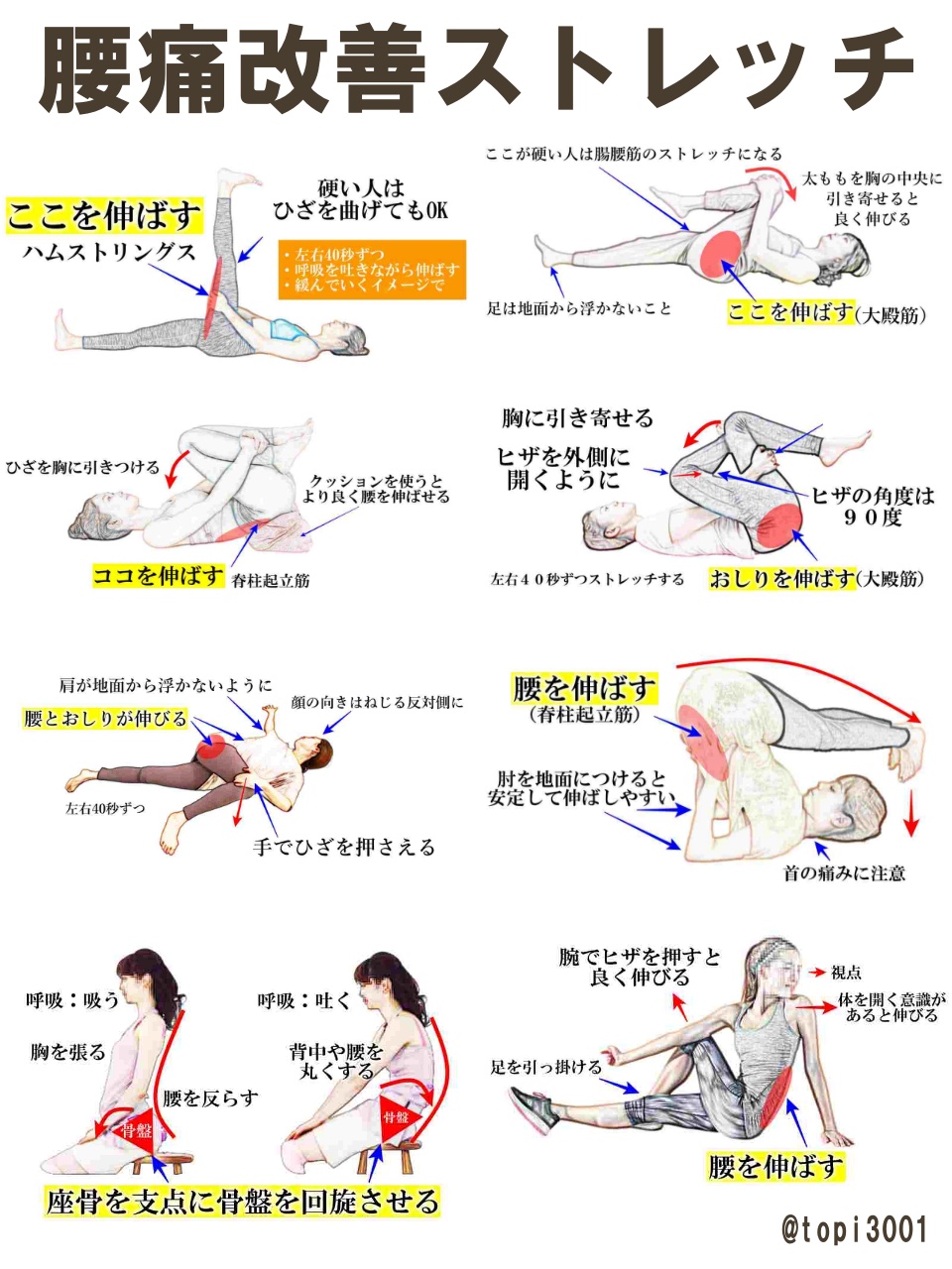 腰痛3日で治るバランス療法 腰痛は動かして治す！「1回3秒、1日2回だけ体操」【医師が教える