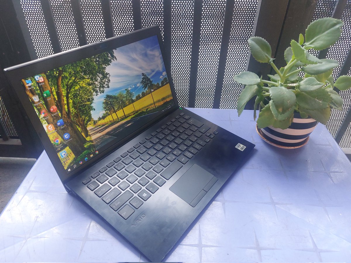 Laptop NiNa tweet media
