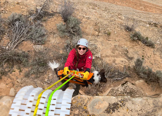 DrJMarine's tweet image. Great rescue story! #TheGoodStuff @HeartOTXHeartMD @hvanspall @DrMarthaGulati 
Dog bolts from car, falls over 100-foot cliff, is rescued in 3-hour effort wapo.st/3EkJhEO