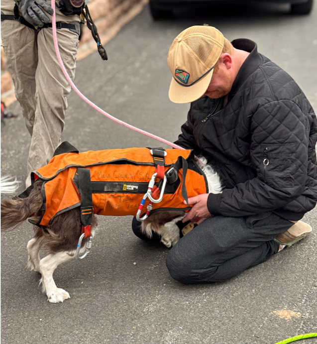 DrJMarine's tweet image. Great rescue story! #TheGoodStuff @HeartOTXHeartMD @hvanspall @DrMarthaGulati 
Dog bolts from car, falls over 100-foot cliff, is rescued in 3-hour effort wapo.st/3EkJhEO