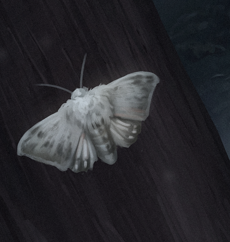 Eu nem sei como q eu consegui esse feito, mas essa é a mariposa mais bonita que eu já fiz na minha vida