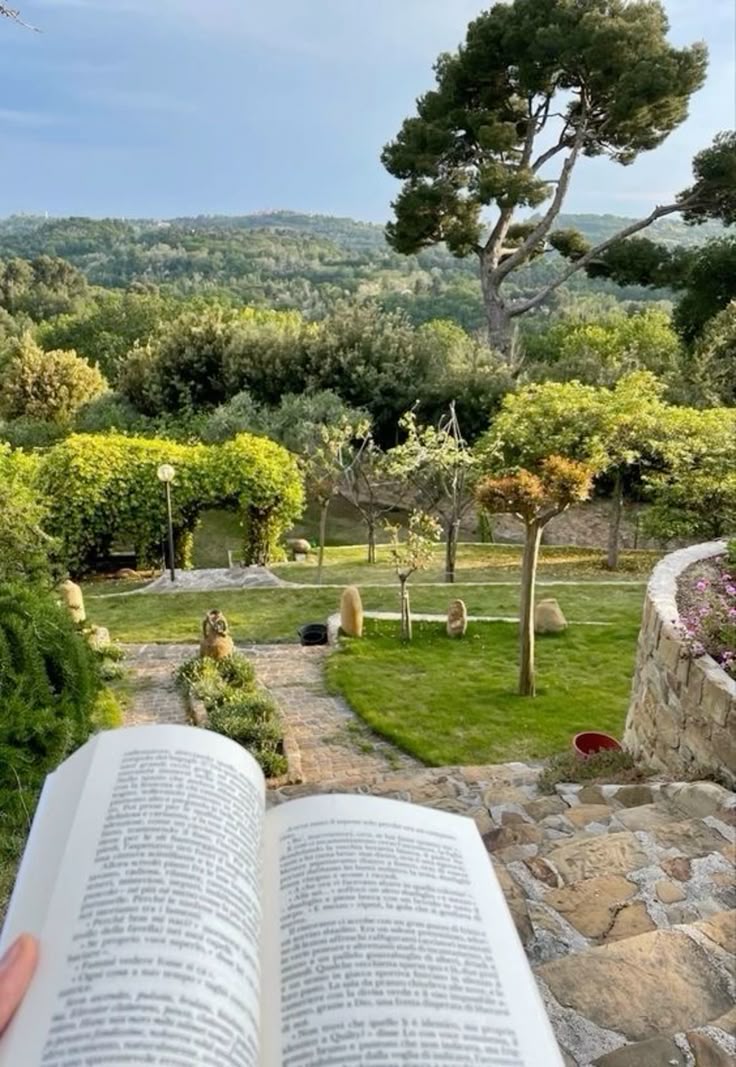 greenvibe's tweet photo. nature https://t.co/f6ZVmSQY0v