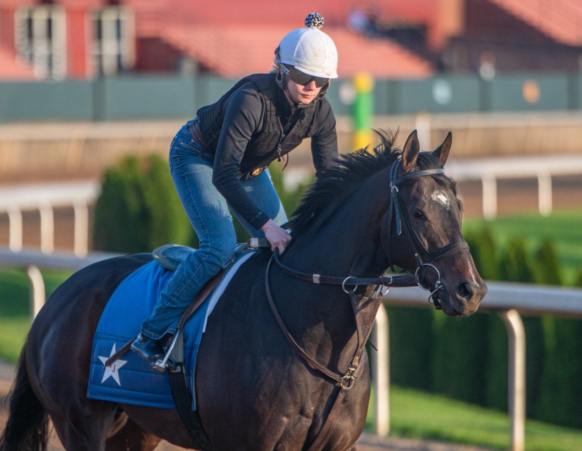 Robert Yates (@robertyates1982) on Twitter photo <a href="/kyleejordan7622/">Kylee Jordan</a> back on horses Sunday morning at Oaklawn (December shoulder surgery). Targeting a comeback <a href="/prmracing/">Prairie Meadows</a>, which opens May 9. <a href="/kyleejordan7622/">Kylee Jordan</a> back on horses Sunday morning at Oaklawn (December shoulder surgery). Targeting a comeback <a href="/prmracing/">Prairie Meadows</a>, which opens May 9.