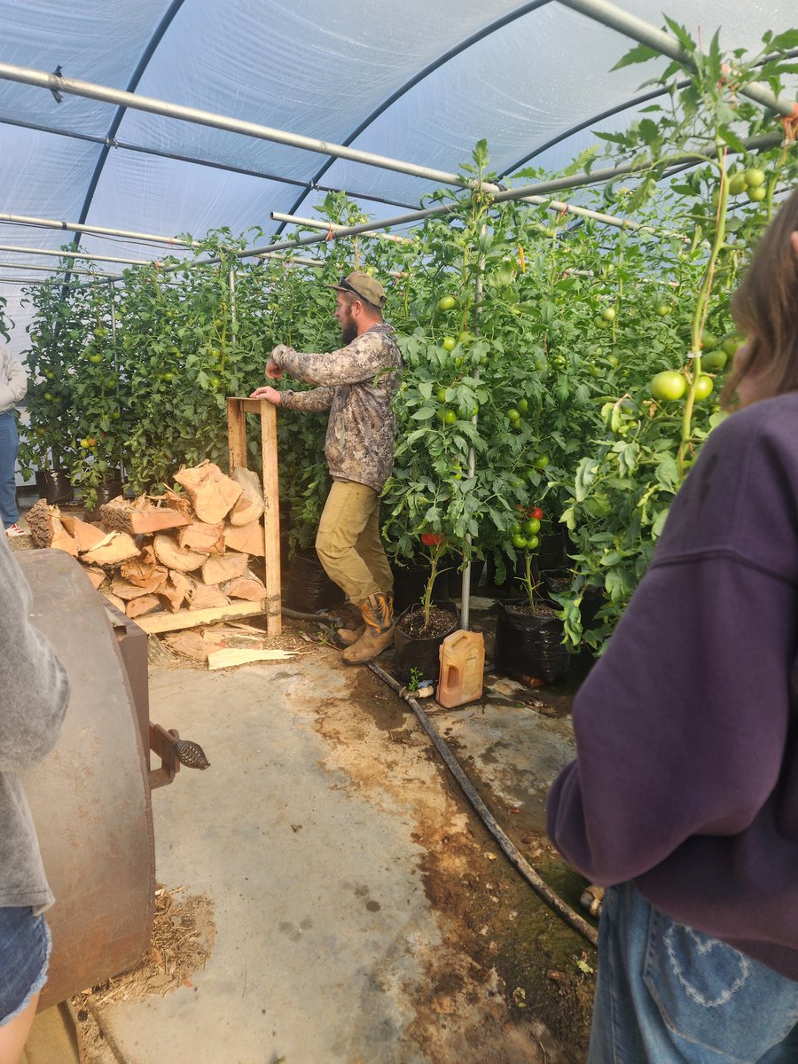 ledford_ffa's tweet photo. Our Horticulture students visited a local greenhouse operation specializing in tomato cultivation. π
This visit provided valuable insights into sustainable farming practices. #doingtolearn @dcsnc @LedfordProud @CTEforNC https://t.co/Gdj7TdHFGx