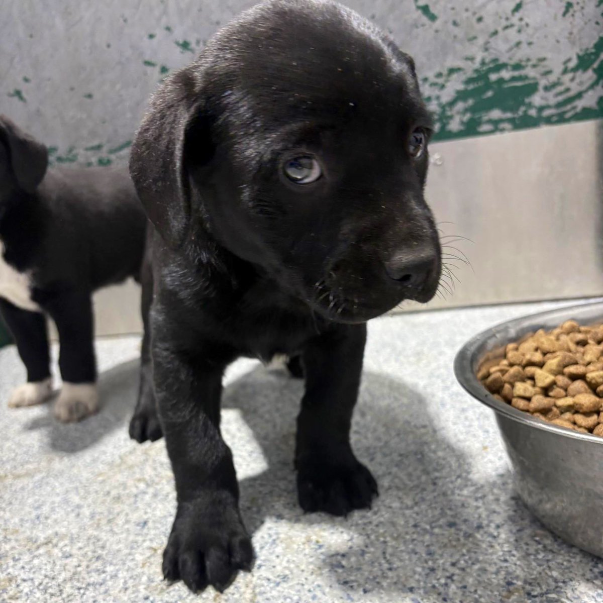 It can’t be true! 💔 
I only have 17 shares…? 🥺
My siblings &amp; I need forever🏡s
#RockyMount #NorthCarolina 🇺🇸