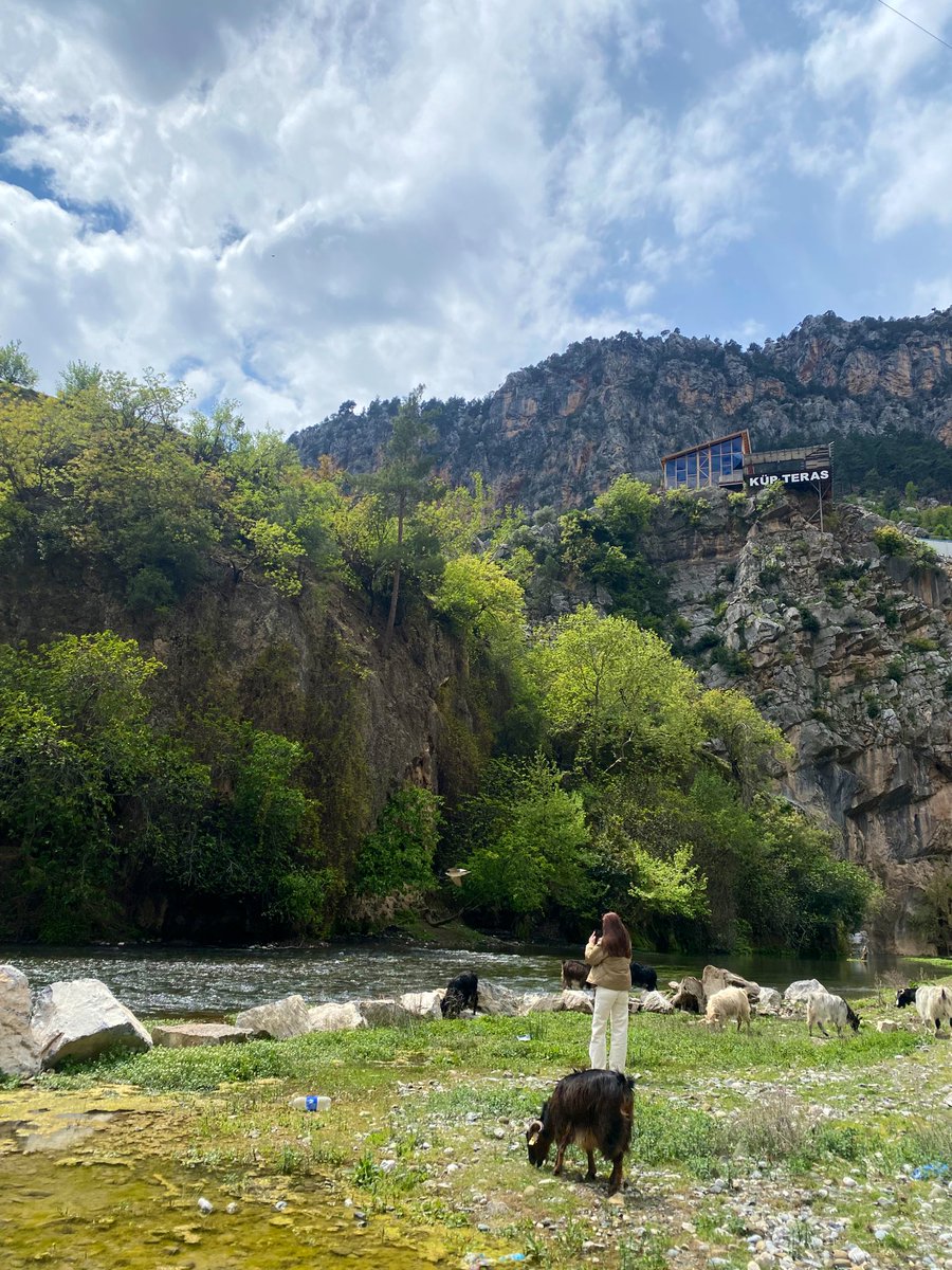 pikamedik's tweet photo. “Bir gün nerede yaşayacağım biliyor musun?
Cennet şelalelerinde.
Zamanda kaybolmuş bir yer.
Var ya biliyor musun? Bunu bir kütüphane kitabından yürüttüm. Tek hayalim kulübemi oraya taşımak.” https://t.co/XvpyP2lGxx