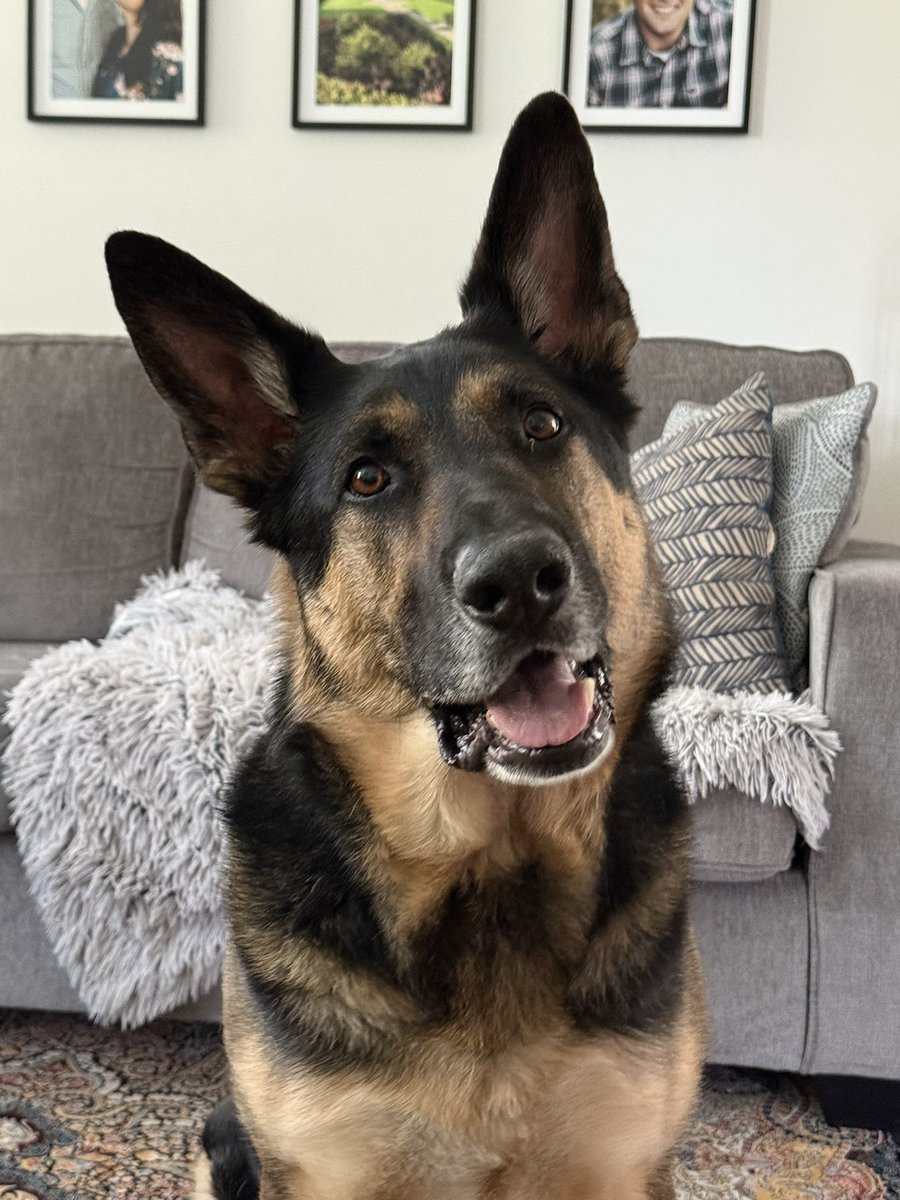 Paul Smith tweet media