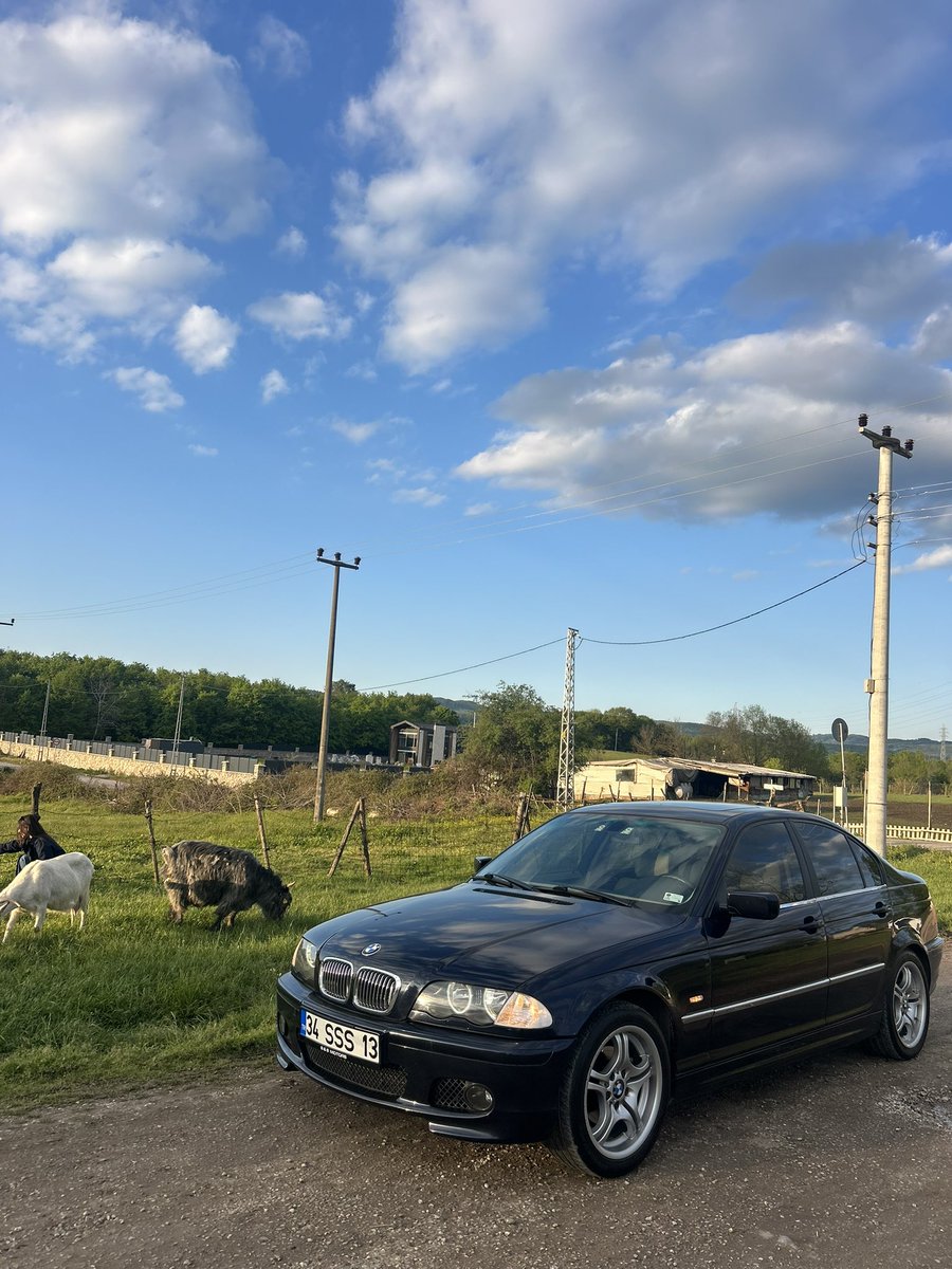 Pazarın hakkı verildi 🐐