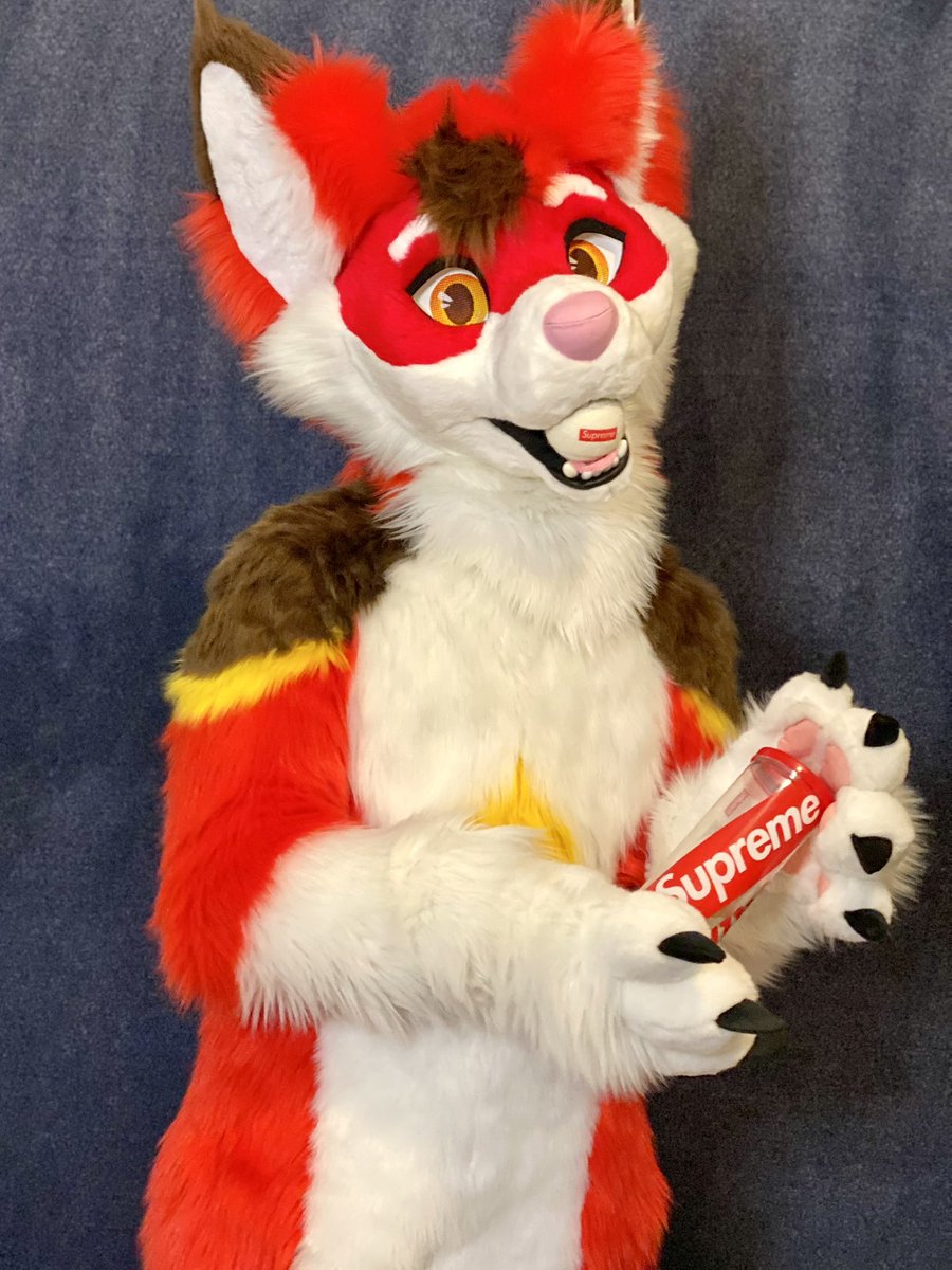 EchoFoxeh's tweet image. Anyone wanna play some fetch? 🥺

🪡: @PrimalSuits