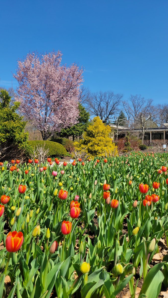 Elizabeth Page, MD 🧠 tweet media