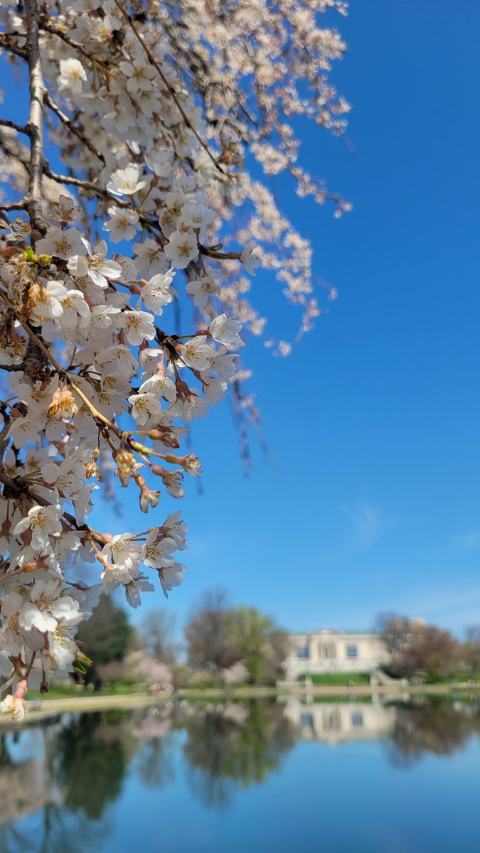 Elizabeth Page, MD 🧠 tweet media