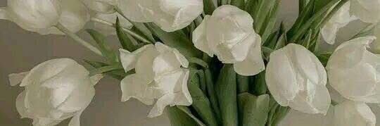 h_an_2's tweet photo. قيل: 

«الحَيَاءُ فِيْ المَرْأَةِ بِـمَنْزِلَةِ الشَجَاعَةِ فِي الرَجُل». https://t.co/3Tn9VjSnLX