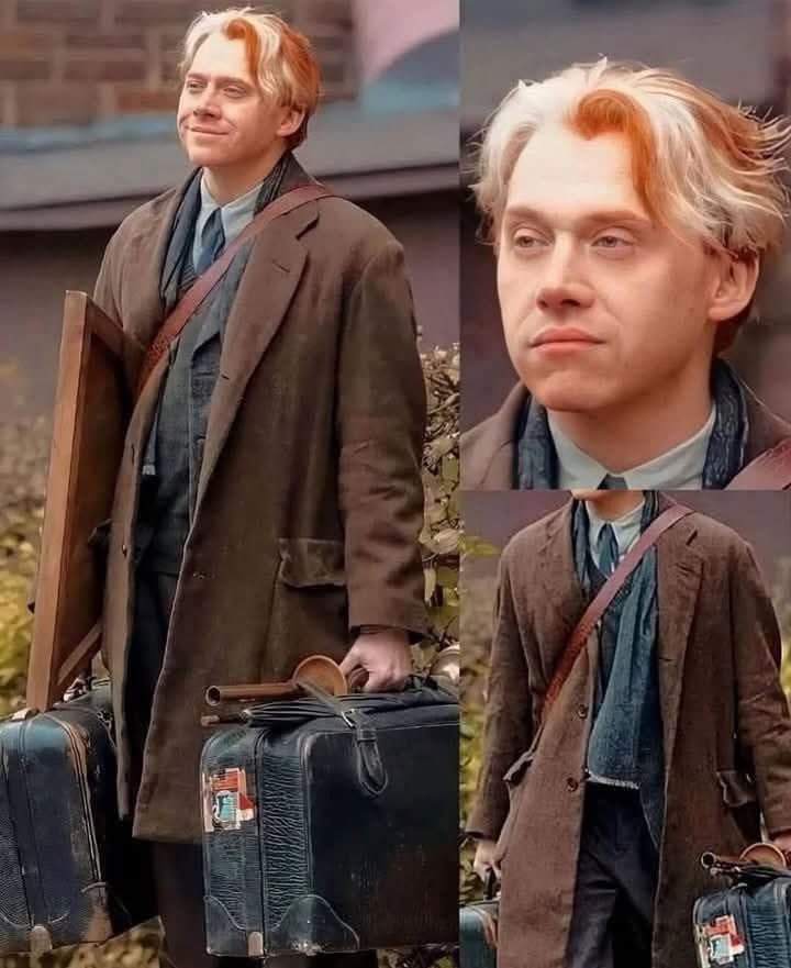 Cuando vuelves a Hogwarts, pero está vez como profesor
Su carita lo dice todo, jajajajaja 🐱