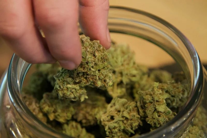 Rojda Altintaş (@rojdaaltintas) on Twitter photo 🔴 Şizofreniyi tetikliyor
Marihuana, bazı ülkelerde serbest bırakılıp “Ottur, zararı yoktur” inancını beslese de bağımlılığı giderek büyüyen bir sorun.
Kullanımı çocuk yaşlara düşüp yaygınlaşan marihuana, psikoz ve şizofreniyi tetikleyebiliyor.
<a href="/mesudedemirr/">Mesude Demir</a> haberi. 🔴 Şizofreniyi tetikliyor
Marihuana, bazı ülkelerde serbest bırakılıp “Ottur, zararı yoktur” inancını beslese de bağımlılığı giderek büyüyen bir sorun.
Kullanımı çocuk yaşlara düşüp yaygınlaşan marihuana, psikoz ve şizofreniyi tetikleyebiliyor.
<a href="/mesudedemirr/">Mesude Demir</a> haberi.