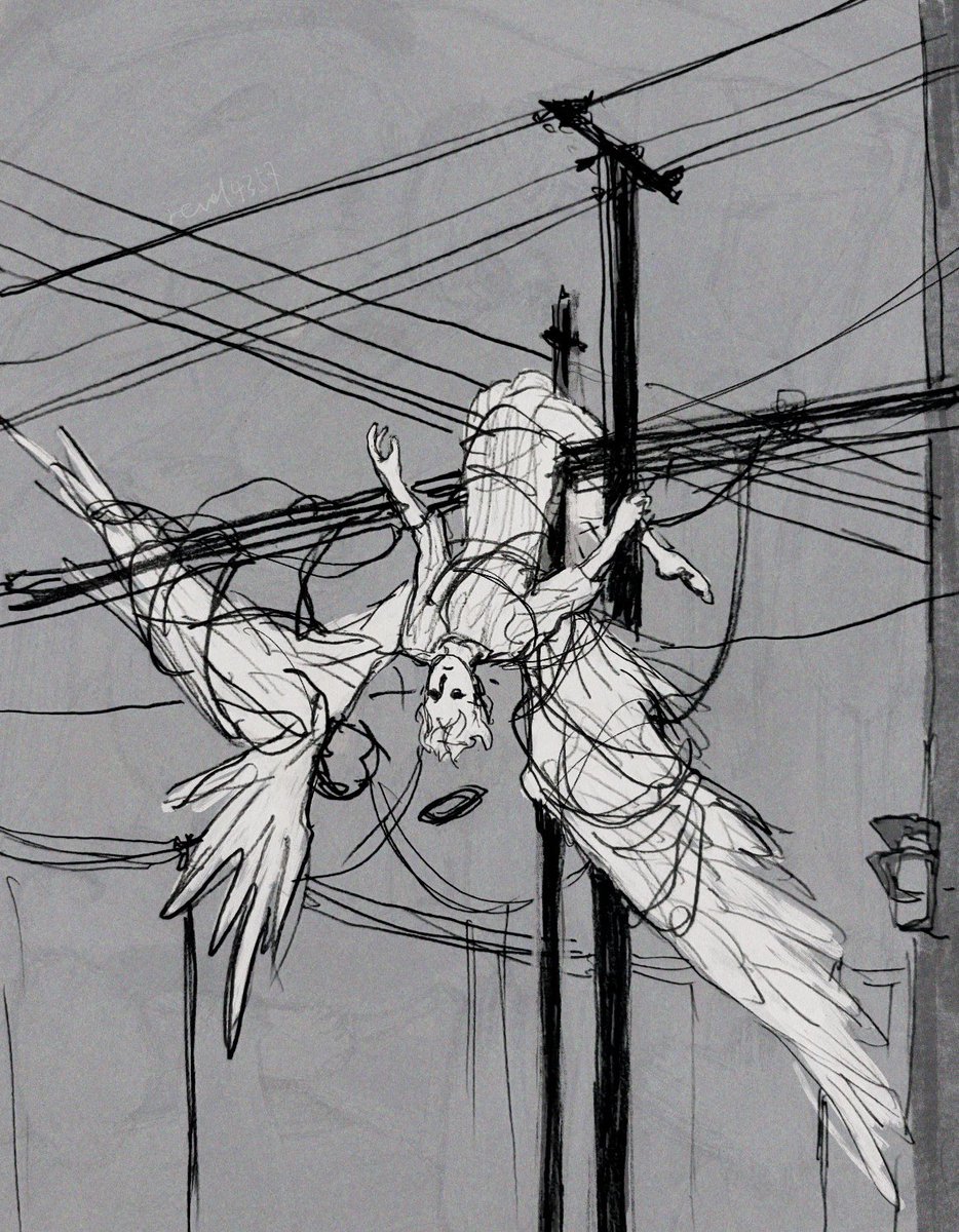 . (@revol4357) on Twitter photo 