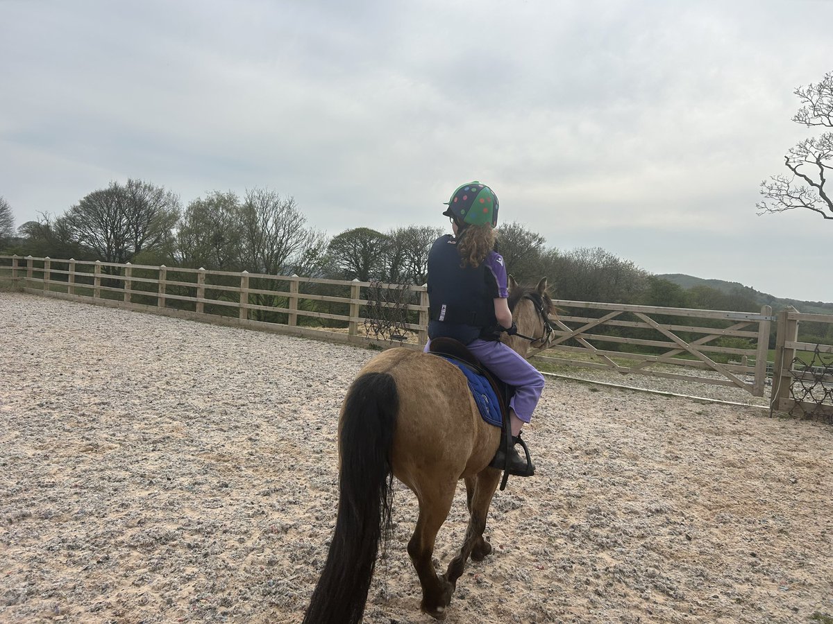 bernardsfarmuk's tweet photo. Can’t be all work and no play 🐎🐎

#horsingaround #horses #babsy #beryl #sisters #horseriding #pony #proudmum https://t.co/aY93dm99wE