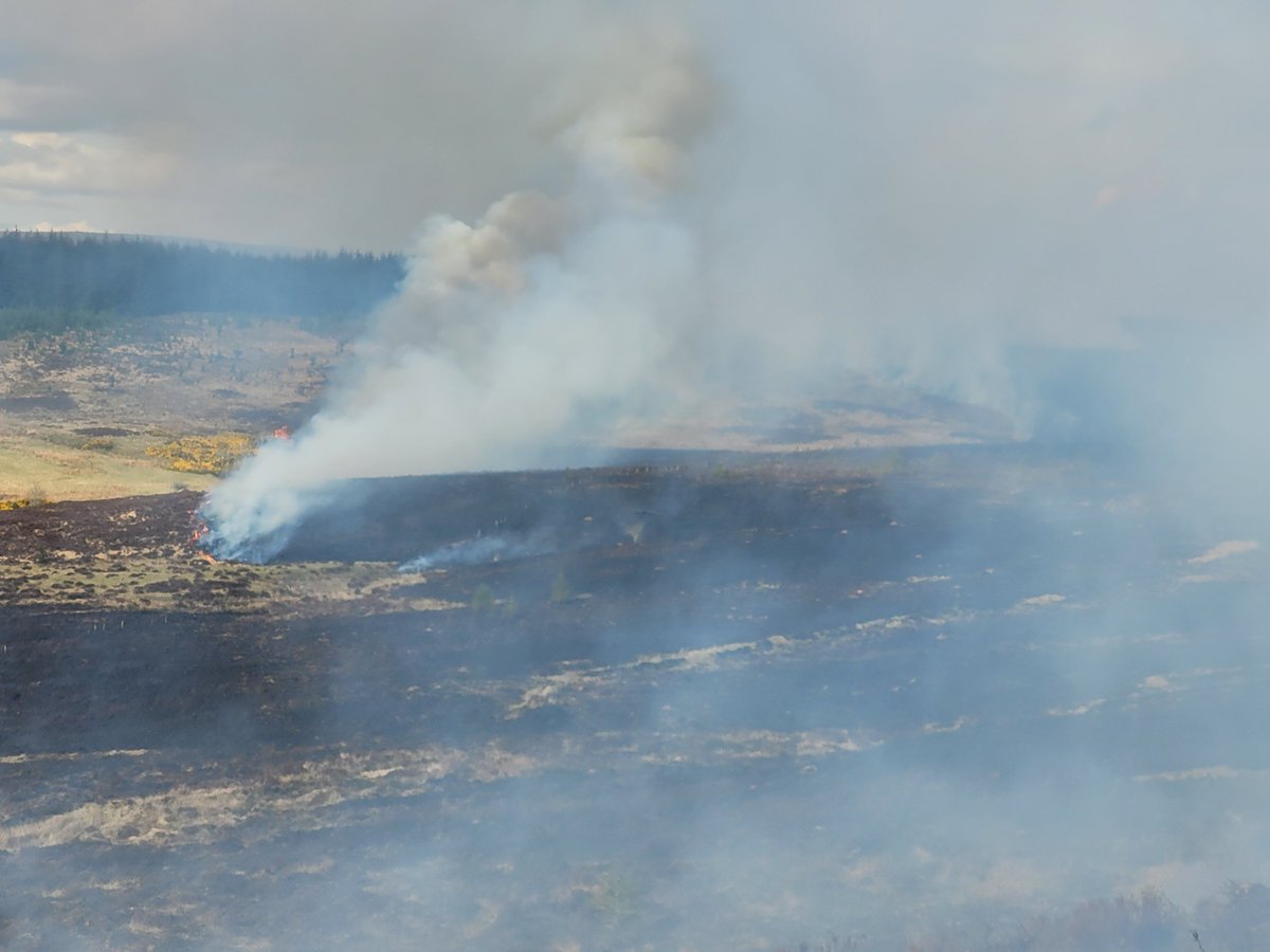 Balintore Fire Station tweet media