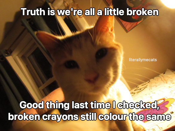 literallymecats's tweet image. 