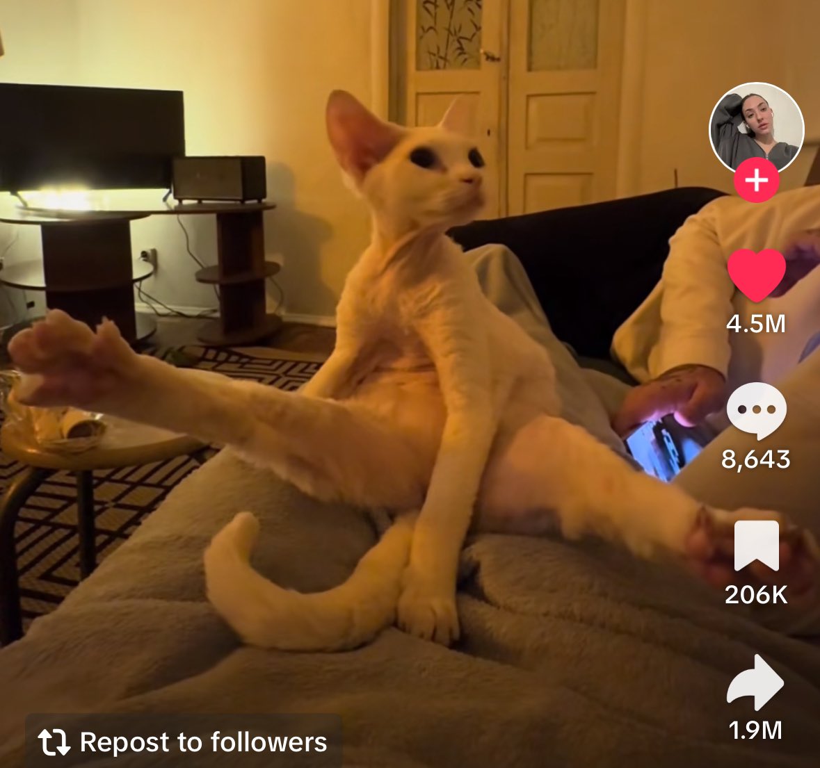 tuna_ix's tweet photo. @freakyfawi Send $Ballerina , guaranteed tiktok cook

FYrS8SrnuzAZsV3PQVekPzp967tWmnV1Nj9QrHQ6pump https://t.co/8et7SCdSFs