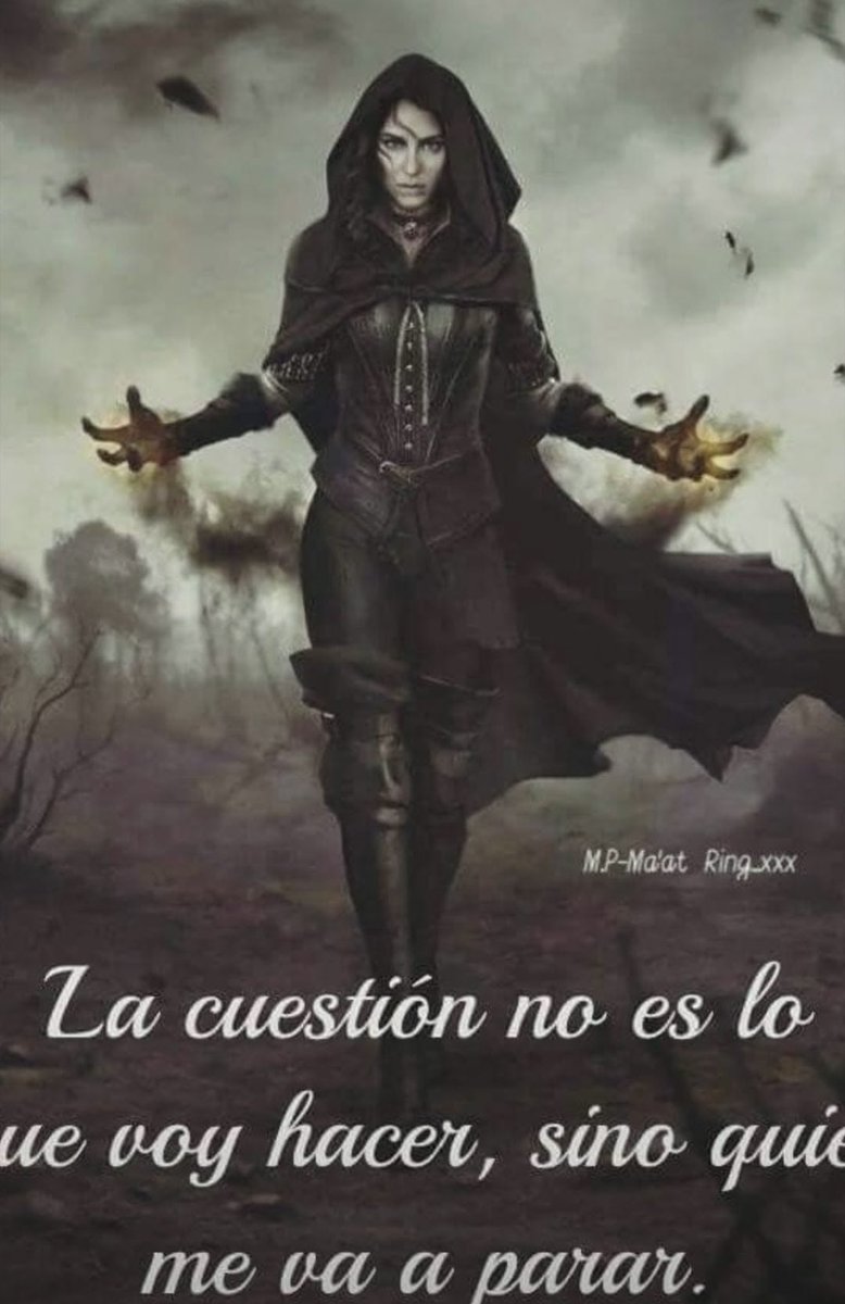 CoachPaoMiranda's tweet photo. No se trata de poner ya la otra mejilla y ser siempre la mejor persona, el mundo es hostil tal como lo dice Jordan Peterson y hay que mostrar también que somos peligrosos. https://t.co/Sf3FCsBhTL