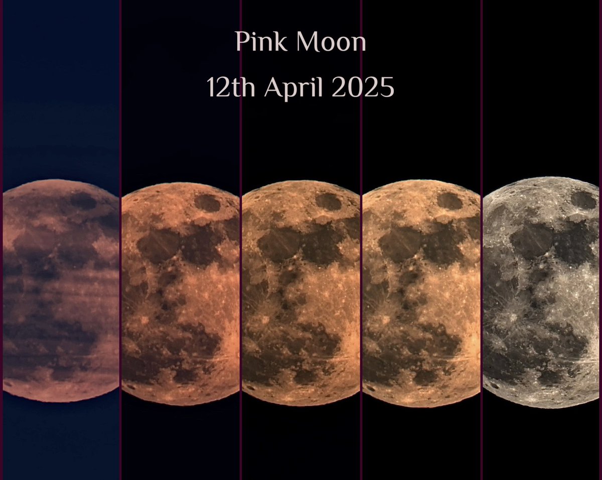 hn303sc's tweet photo. The #Pinkmoon2025 near @Duesseldorf  - first hour after #Moonrise. Pictures taken with @Seestar_astro S50
@MoonHourSocial. Colors untouched. https://t.co/EjvHF3TQ9w