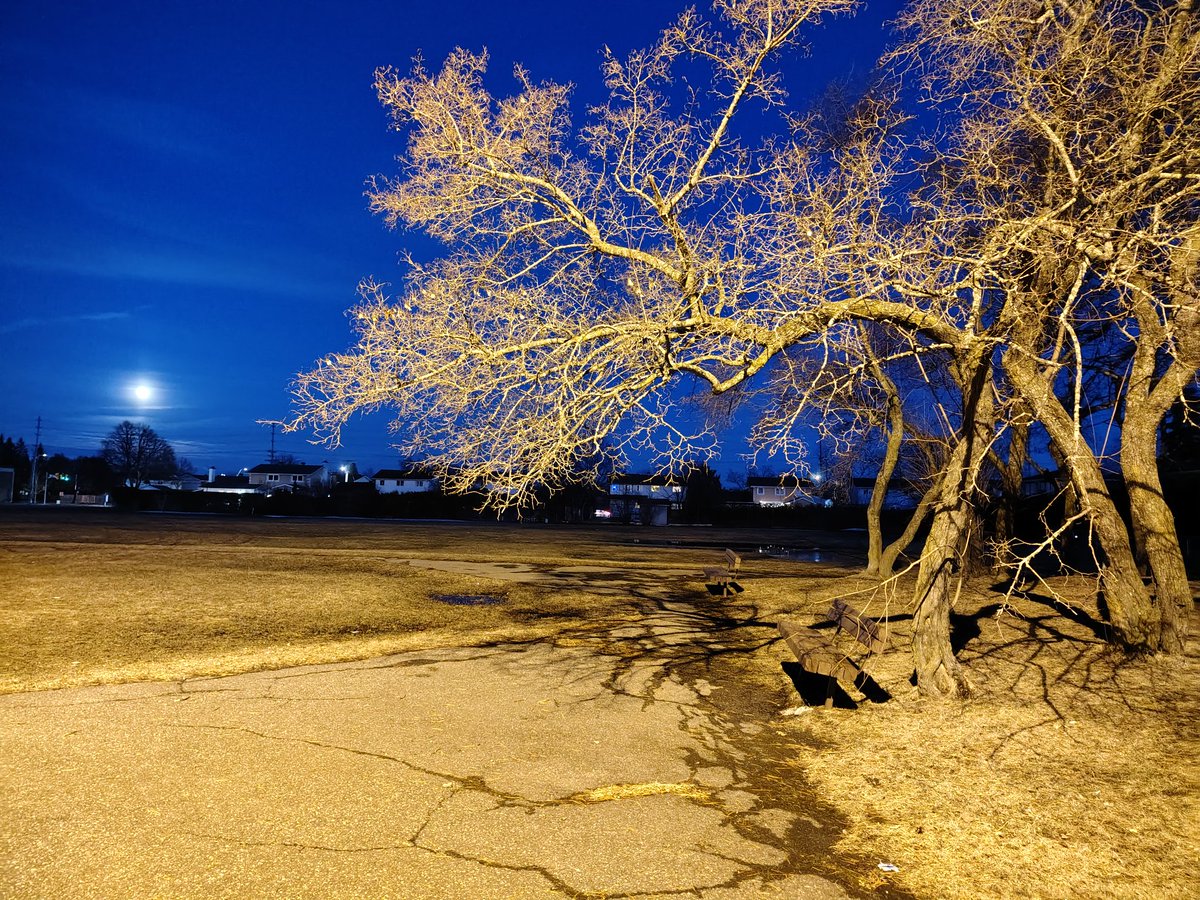 🎙️Blue Monsoon. New Moon, coming soon #EricIo #BlueMonsoon