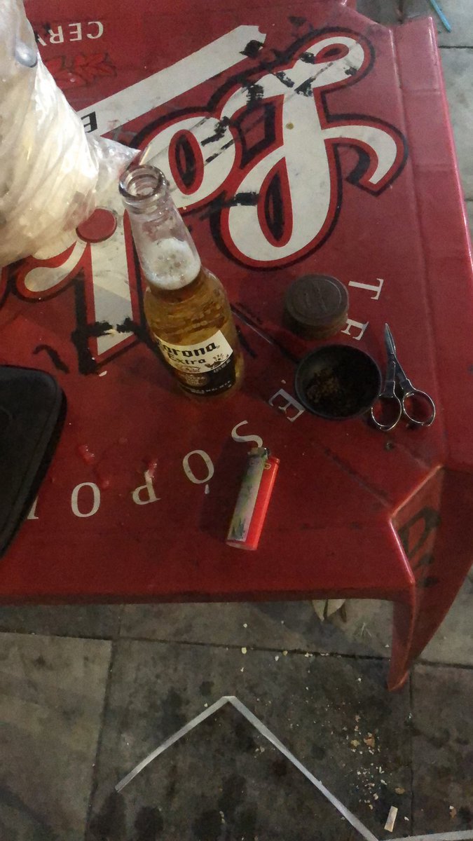 Domingo 🤪
