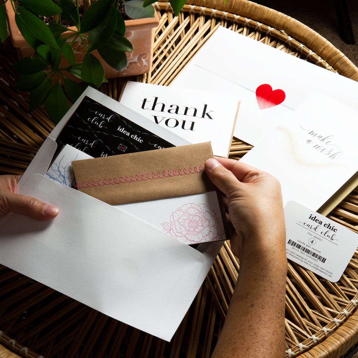 ideachic's tweet photo. This is a good time to start the Idea Chíc Card Club. The Card Club members select any four greeting cards or single stationery notes for only $18/every 4 weeks and shipping is free. Learn more about the Card Club:
https://t.co/FctB58hFn4 https://t.co/3yMgg9ZWBz