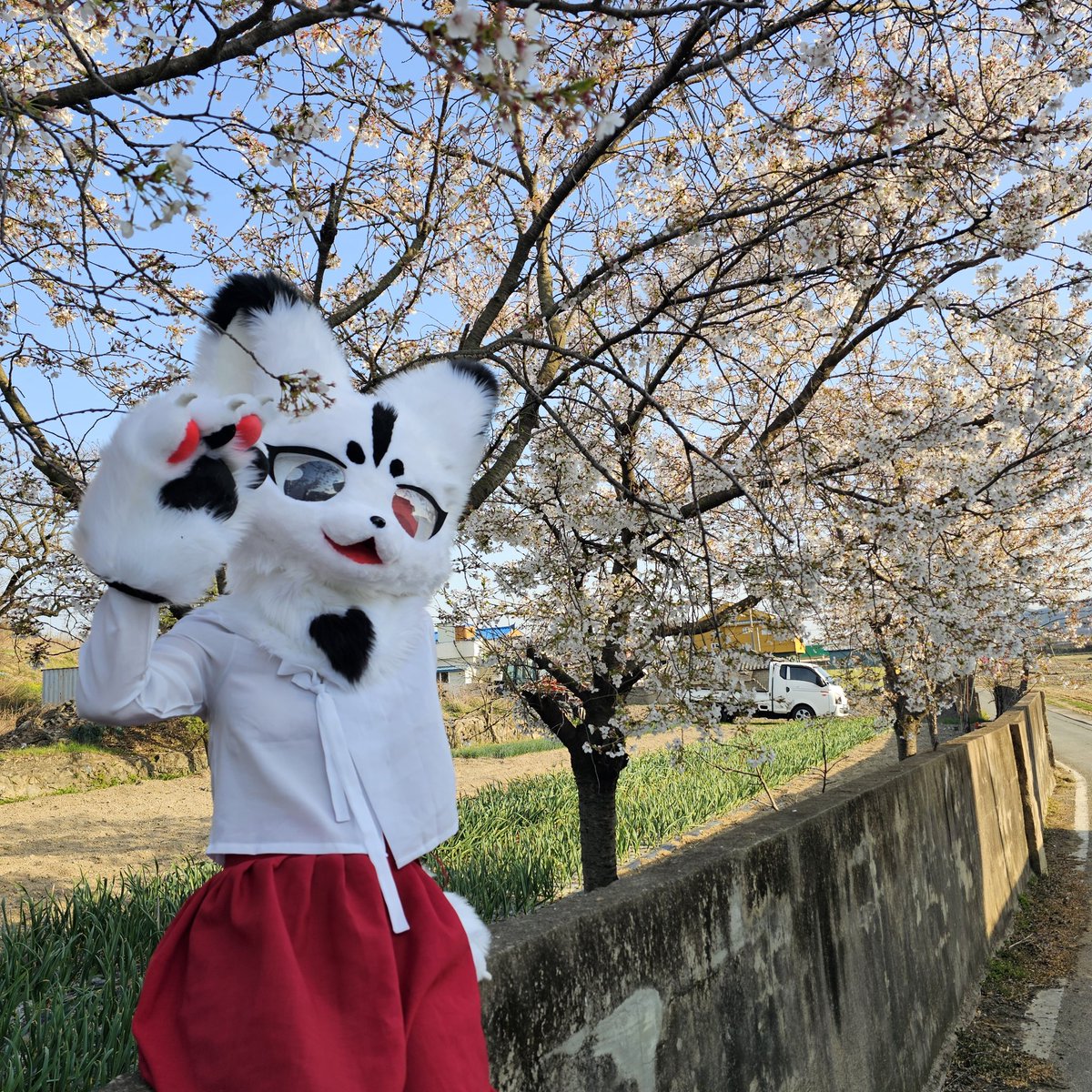안구름 / 당 ❤️ tweet media