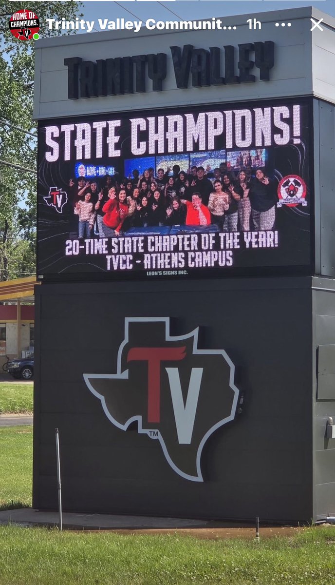 alicia daniel tweet media